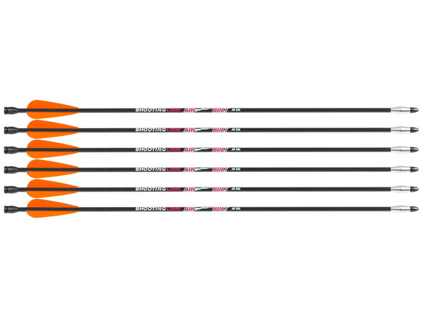 Air Venturi Air Bolt, 6 pack .45 Cal