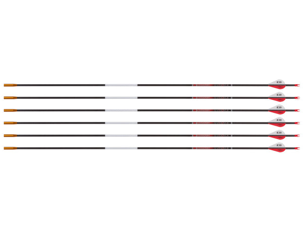 Bloodsport Evidence Arrow, 500 Spine, 6 Pack