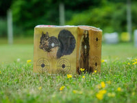 Crosman Varmint Target Block - photo 5